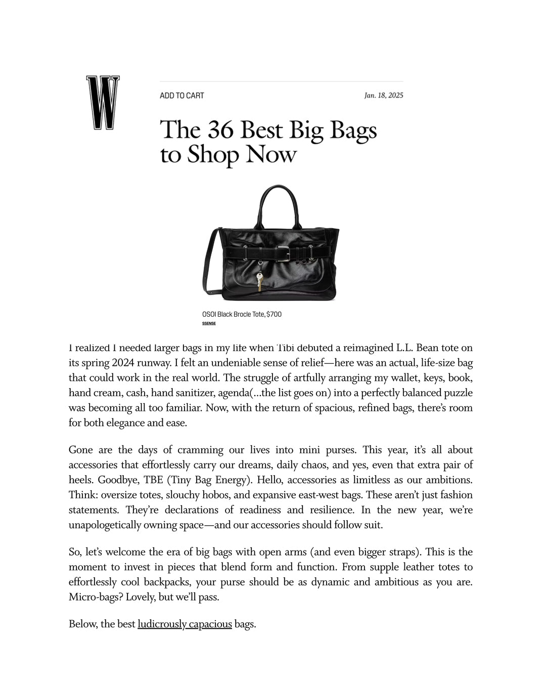 W MAGAZINE JANUARY / TOTE BROCLE [STONE BLACK]